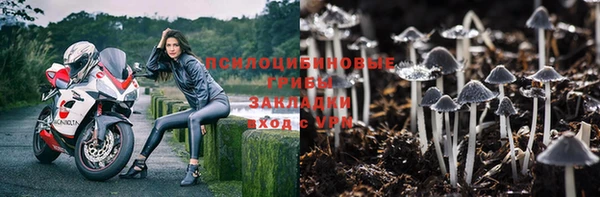 круглые Пересвет